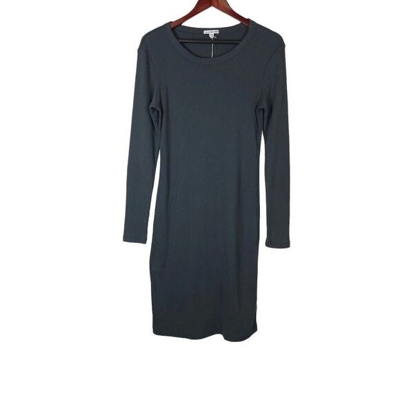 JAMES PERSE NWT SZ 2 M Grey  LONG SLEEVE MIDI BODYCON PULLOVER DRESS Ribbed - Picture 1 of 8